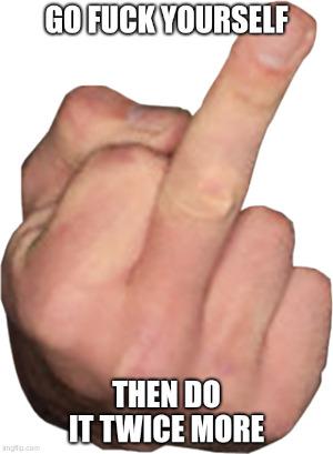 Meme of a raised middle finger. Can't fully repeat the words because filters but it says, go blank yourself, then do it twice more