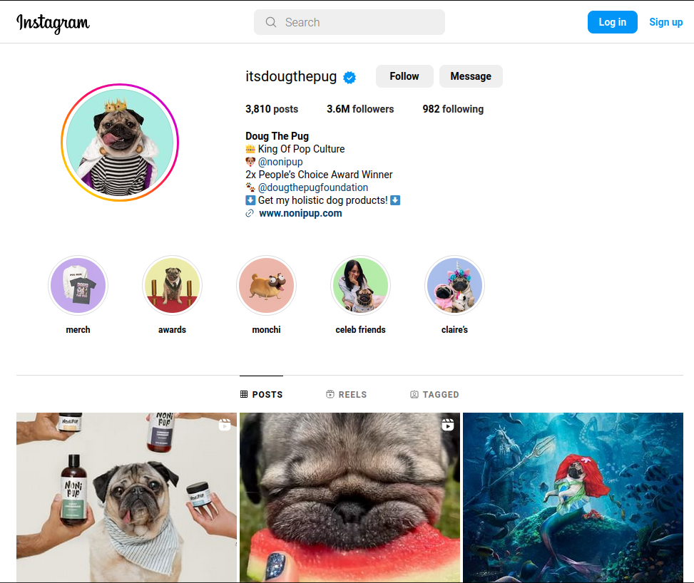 Screen shot of Doug the Pug's intstagram profile. Lots and lots of work has clearly gone into curating content for it.