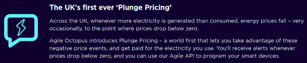 Screenshot of Octopus's description of Plunge pricing. When supply outstrips demand, prices drop and occasionally go negative.